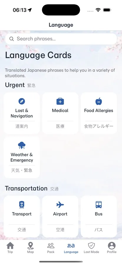 Language cards screen